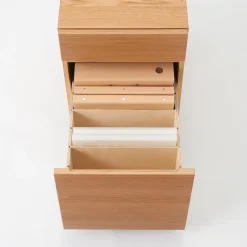 Armoire de bureau en bois de chêne