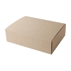 Boîte‐cadeau 31 x 23 x 9cm
