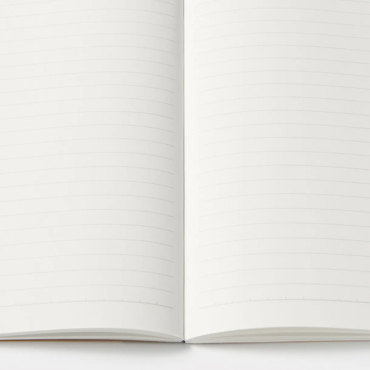 Lot de 5 carnets en papier d`arbres de plantation (B5)