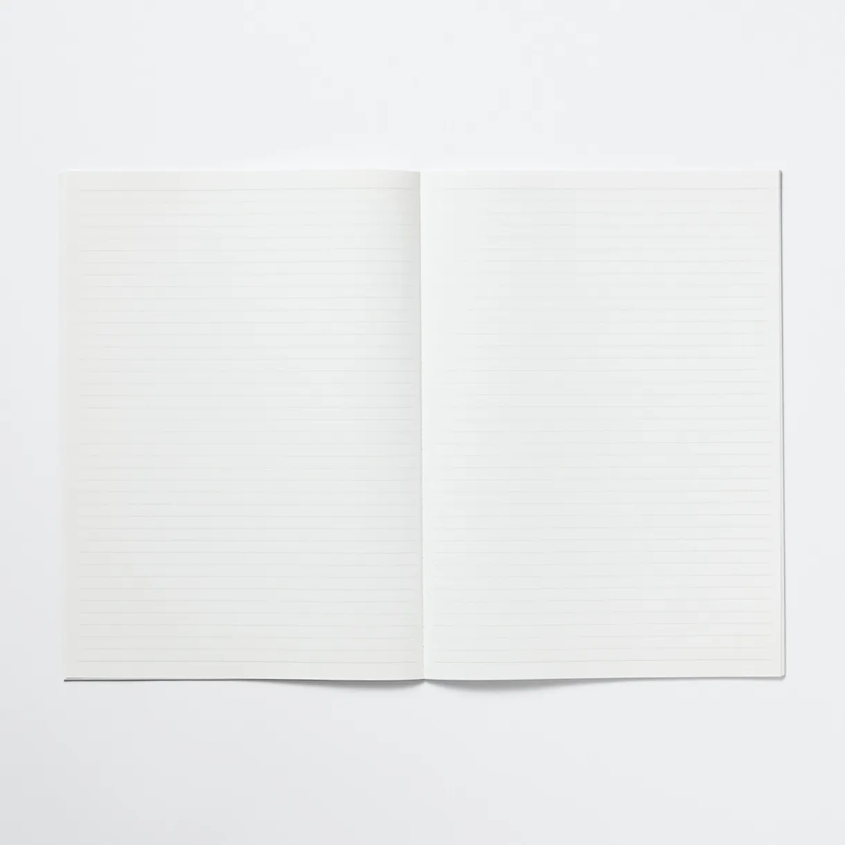 Lot de 5 carnets en papier d`arbres de plantation (B5)