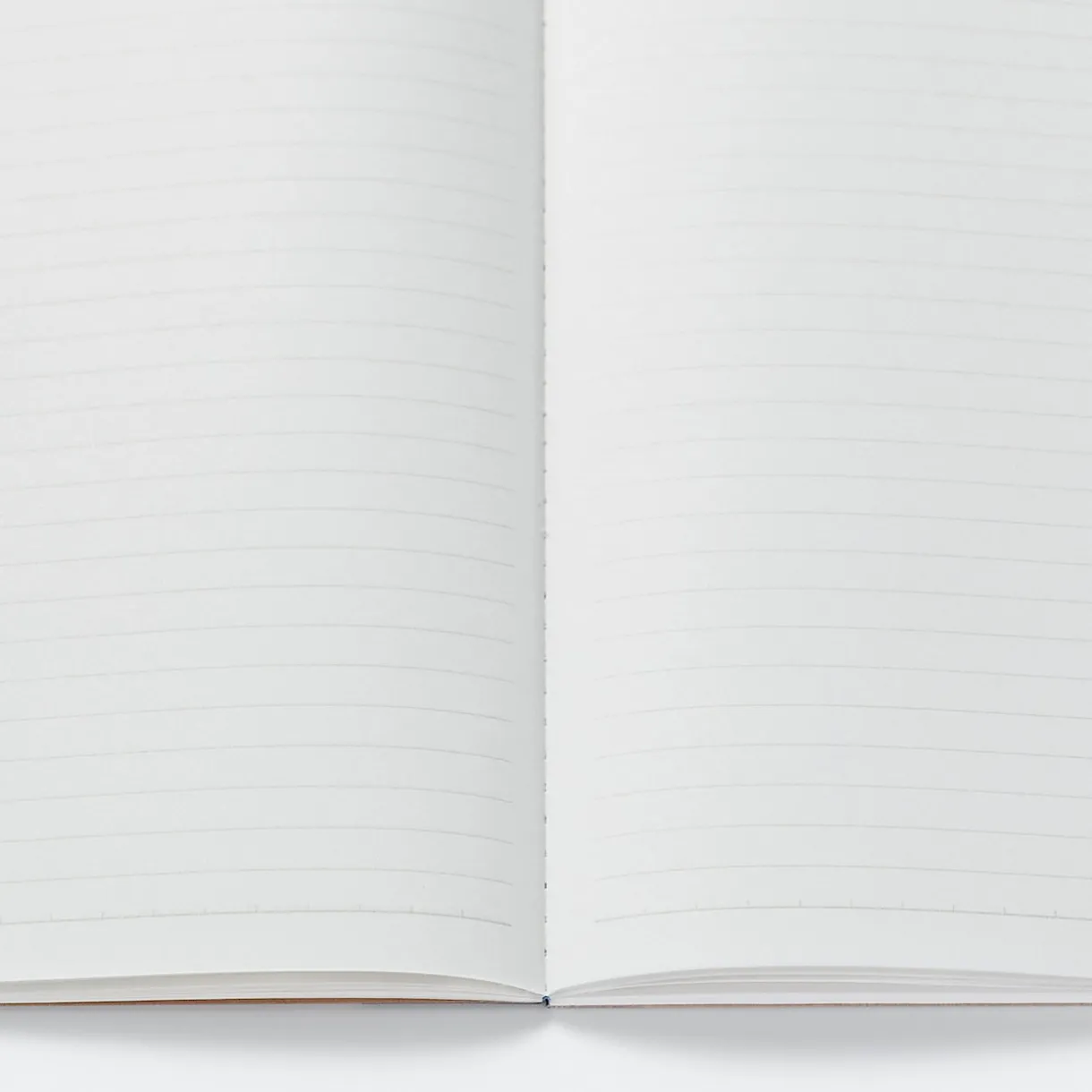 Lot de 5 carnets en papier d`arbres de plantation (B5)