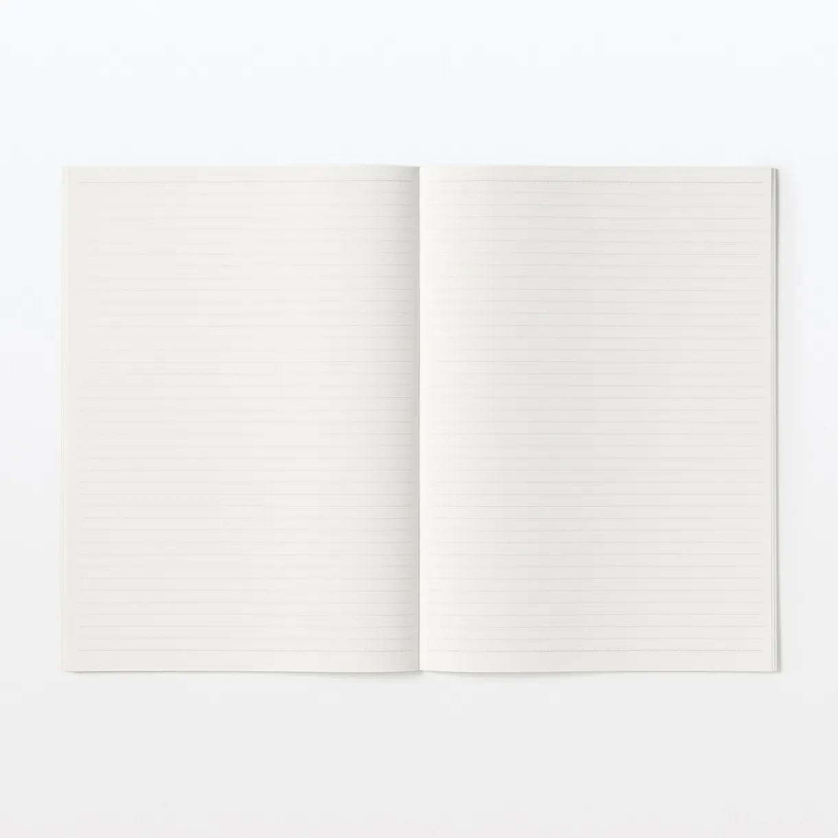 Lot de 5 carnets en papier d`arbres de plantation (B5)